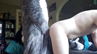 Moto Knotting The Pup
