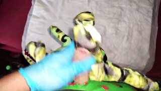 Gay plush, gay dinosaur, cum