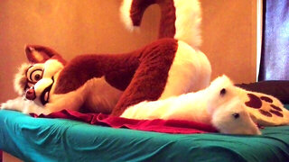 Fursuits Backsides