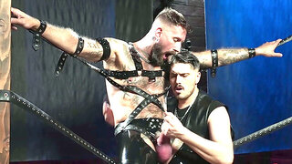 Bound Muscle Stud Edged and Milked
